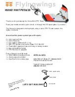 Preview for 1 page of flyingwings Hornet Mini FPV Racer Manual