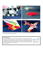 Предварительный просмотр 8 страницы Flyrace Pluswing Series Instruction Manual