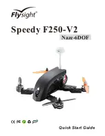 Preview for 1 page of Flysight Speedy F250-V2 Quick Start Manual