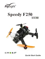 Flysight Speedy F250 Quick Start Manual preview