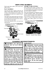 Предварительный просмотр 28 страницы FMI Natural Gas Burner System SDVBND Owner'S Operation And Installation Manual