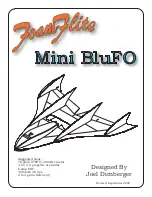 Foam-Flite Mini BluFO Manual preview