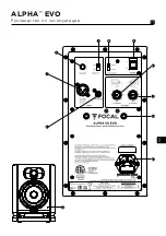 Preview for 21 page of Focal ALPHA 50 EVO User Manual