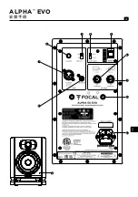 Preview for 31 page of Focal ALPHA 50 EVO User Manual