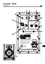 Preview for 41 page of Focal ALPHA 50 EVO User Manual