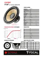 Предварительный просмотр 10 страницы Focal FLAX P20F User Manual