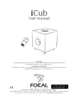 Preview for 1 page of Focal iCub User Manual