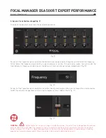 Preview for 29 page of Focal Performance Expert DSA 500 RT User Manual