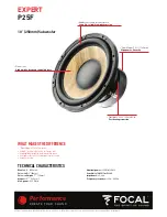 Preview for 9 page of Focal Performance Expert Flax SUB P20F User Manual