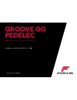 Focus PEDELEC Groove Go Original User Manual preview