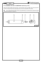 Preview for 84 page of FOM INDUSTRIE BLITZ Use And Maintenance Manual