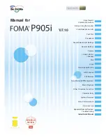 Foma P905i Manual предпросмотр