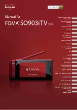 Foma SO903iTV Manual предпросмотр