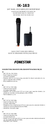 Предварительный просмотр 1 страницы FONESTAR IK-163 Quick Start Manual