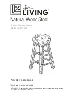 for Living BN-533 Assembly Instructions Manual preview