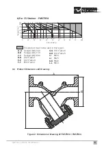 Preview for 7 page of Forbes Marshall FMSTR34 Installation And Maintenance Manual