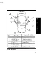 Предварительный просмотр 247 страницы Ford 1997 Contour Manual