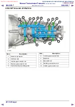 Предварительный просмотр 1036 страницы Ford 2011 Ranger Workshop Manual