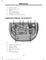 Предварительный просмотр 252 страницы Ford 2016 Fusion Owner'S Manual