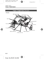 Предварительный просмотр 226 страницы Ford EVEREST 2009 Manual