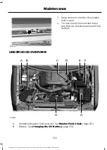 Предварительный просмотр 246 страницы Ford EXPEDITION 2017 Owner'S Manual