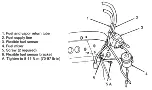 Предварительный просмотр 1030 страницы Ford Taurus Manual