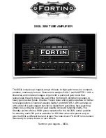 Fortin Amplification SIGIL Quick Start Manual preview