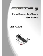 Fortis FSPLTPWRGM User Manual preview