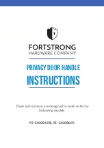 Fortstrong FS-1200DLPB Instructions Manual preview