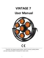 FOS Technologies VINTAGE 7 User Manual preview