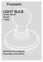 Предварительный просмотр 1 страницы FOSCARINI Light Bulb Assembly Instructions Manual