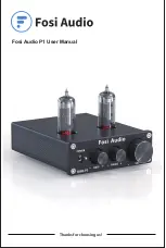 Preview for 1 page of Fosi Audio P1 User Manual