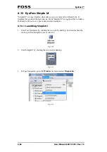 Preview for 64 page of Foss EyeFoss User Manual