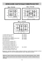 Предварительный просмотр 70 страницы Foster 7014 032 User Manual