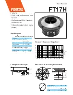 Fostex FT17H Specification Sheet preview