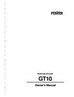 Preview for 1 page of Fostex GT10 Owner'S Manual