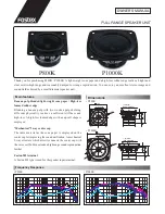 Fostex P800K Owner'S Manual preview