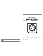 Fostex PM-SUBN Owner'S Manual preview