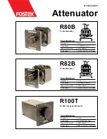 Fostex R100T Specifications preview