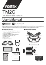 Fostex TM2C User Manual preview