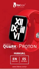 foxbox QUARK Proton Series Manual preview