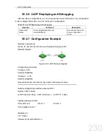 Preview for 230 page of FoxGate S6424-S2C2 series Configuration Manual