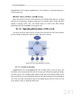 Preview for 241 page of FoxGate S6424-S2C2 series Configuration Manual