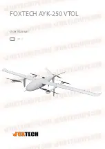 Foxtech AYK-250 VTOL User Manual preview