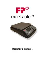 FP EXCELSCALE Operator'S Manual preview