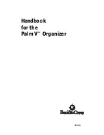 Franklin Covey Palm V Handbook preview