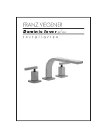 FRANZ VIEGENER Dominic lever plus FV210/85L Installation Manual предпросмотр