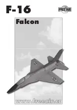 FREE AIR Falcon F-16 Manual preview