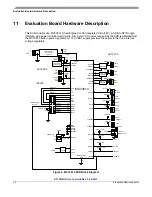 Предварительный просмотр 10 страницы Freescale Semiconductor KIT33814AEEVBE User Manual