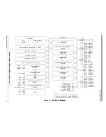 Предварительный просмотр 19 страницы Freescale Semiconductor MC68HC908MR16 Datasheet